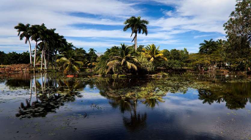 Ciénaga de Zapata Cuba