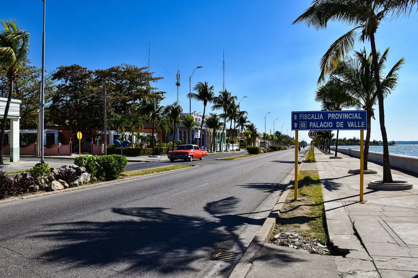 Classic car on a sunny palm-lined street in Cienfuegos
