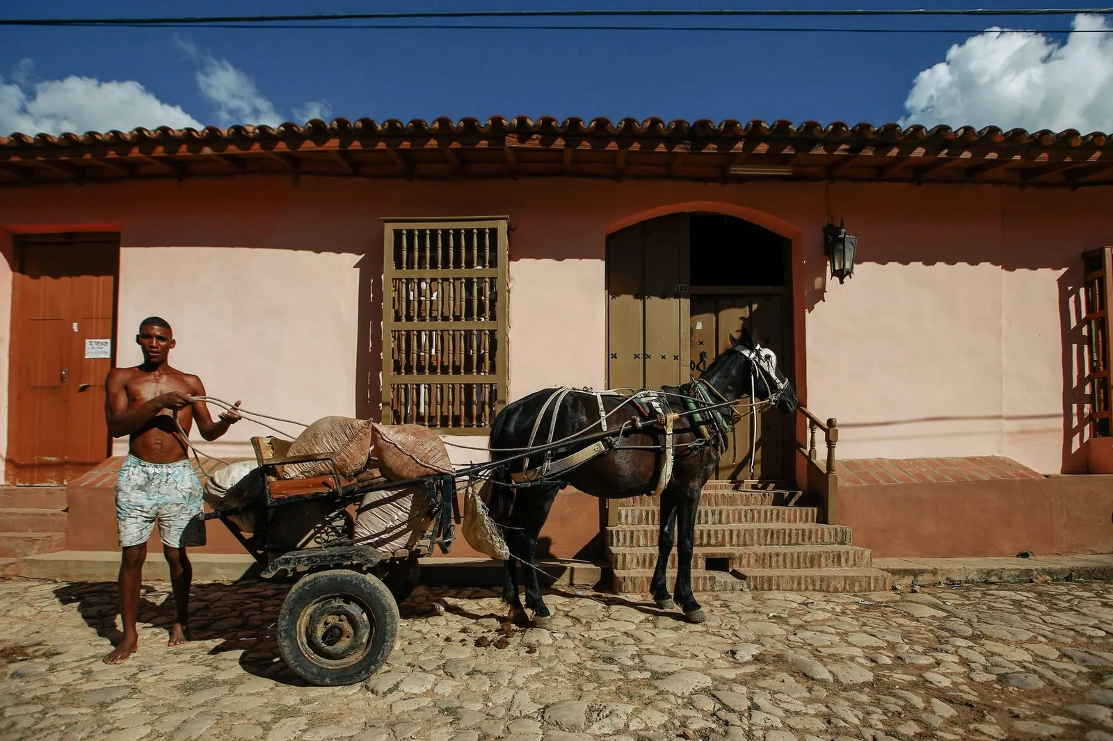 Man leading a cart pulled by a horse along a cobblestone street