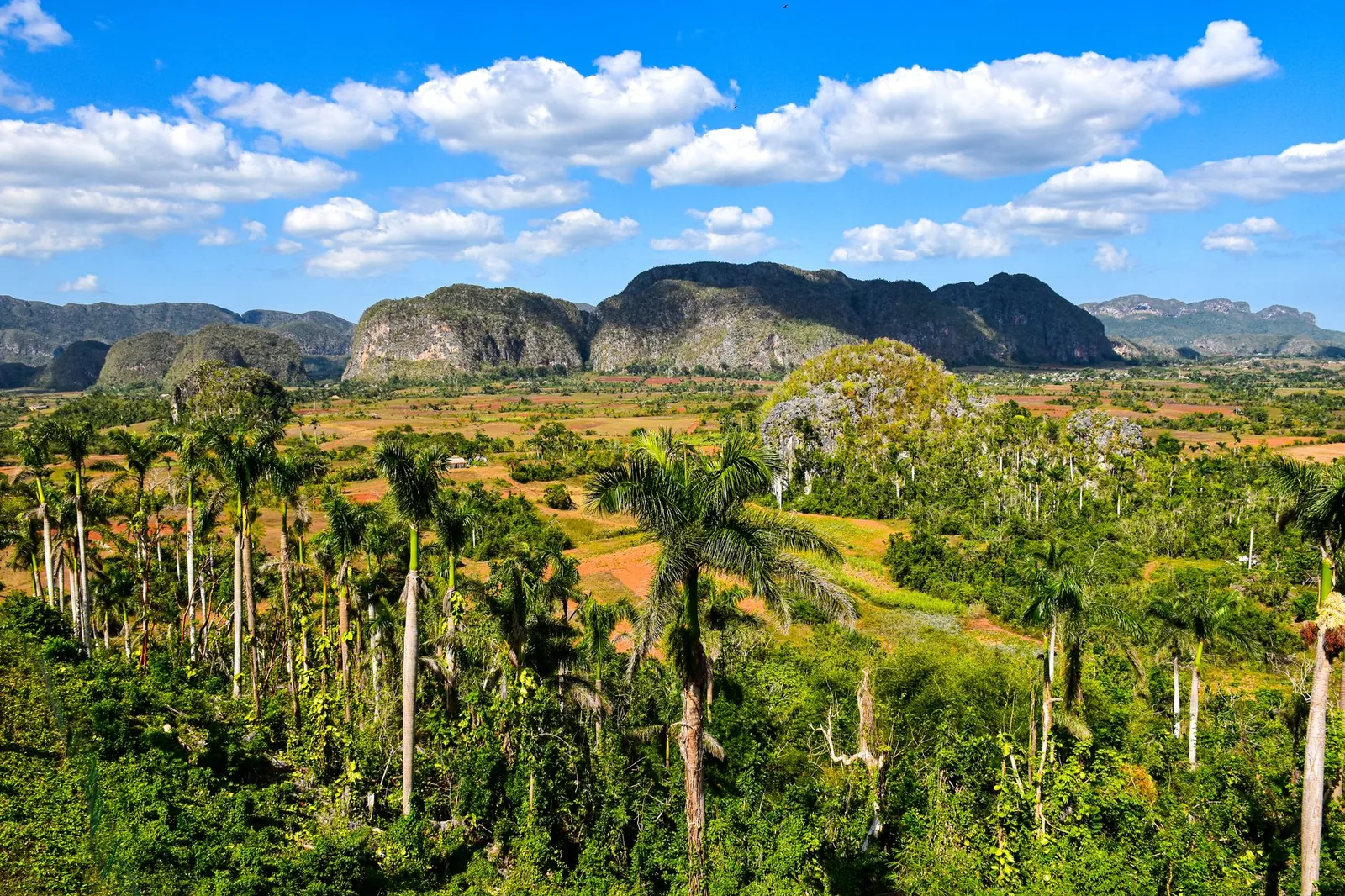 Valle verde con mogotes y palmas en la provincia de Pinar del Río